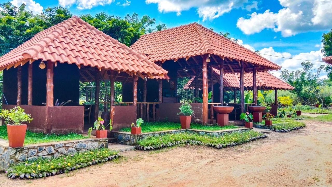 Ceylon Amigos Eco Resort Sigiriya Exterior photo